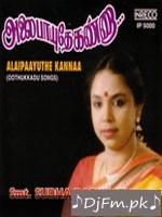 Anjali Jain Album