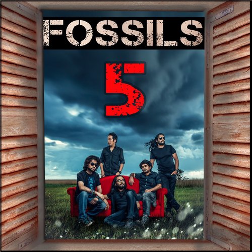 Fossils Fossils 5
