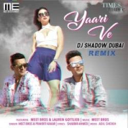 Prakriti Kakar,DJ Shadow Dubai Yaari Ve Remix