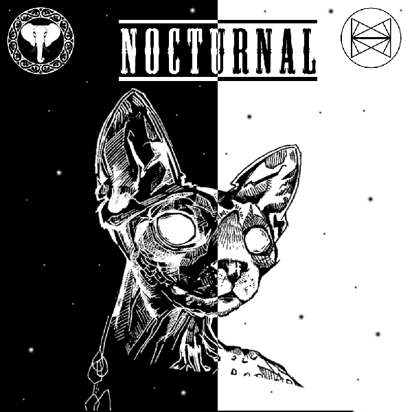 Various Nocturnal Remix